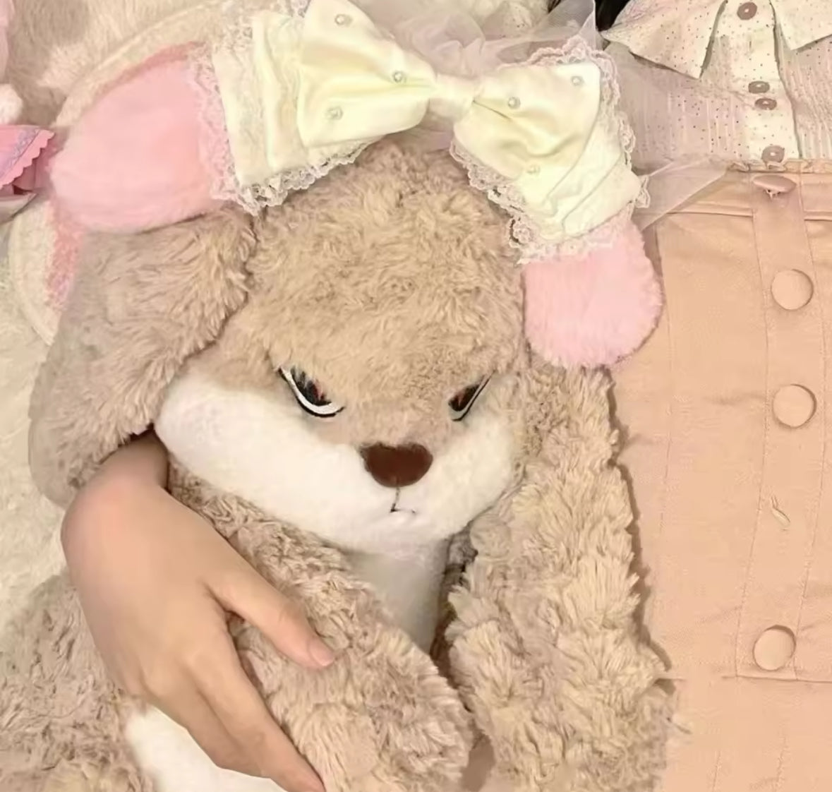 Snuggy Plushies