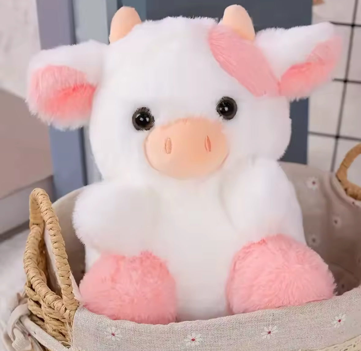 Snuggy Plushies