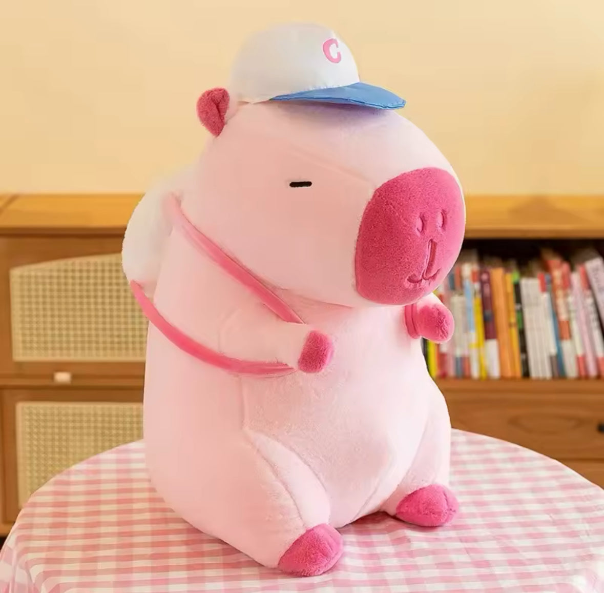 Snuggy Plushies